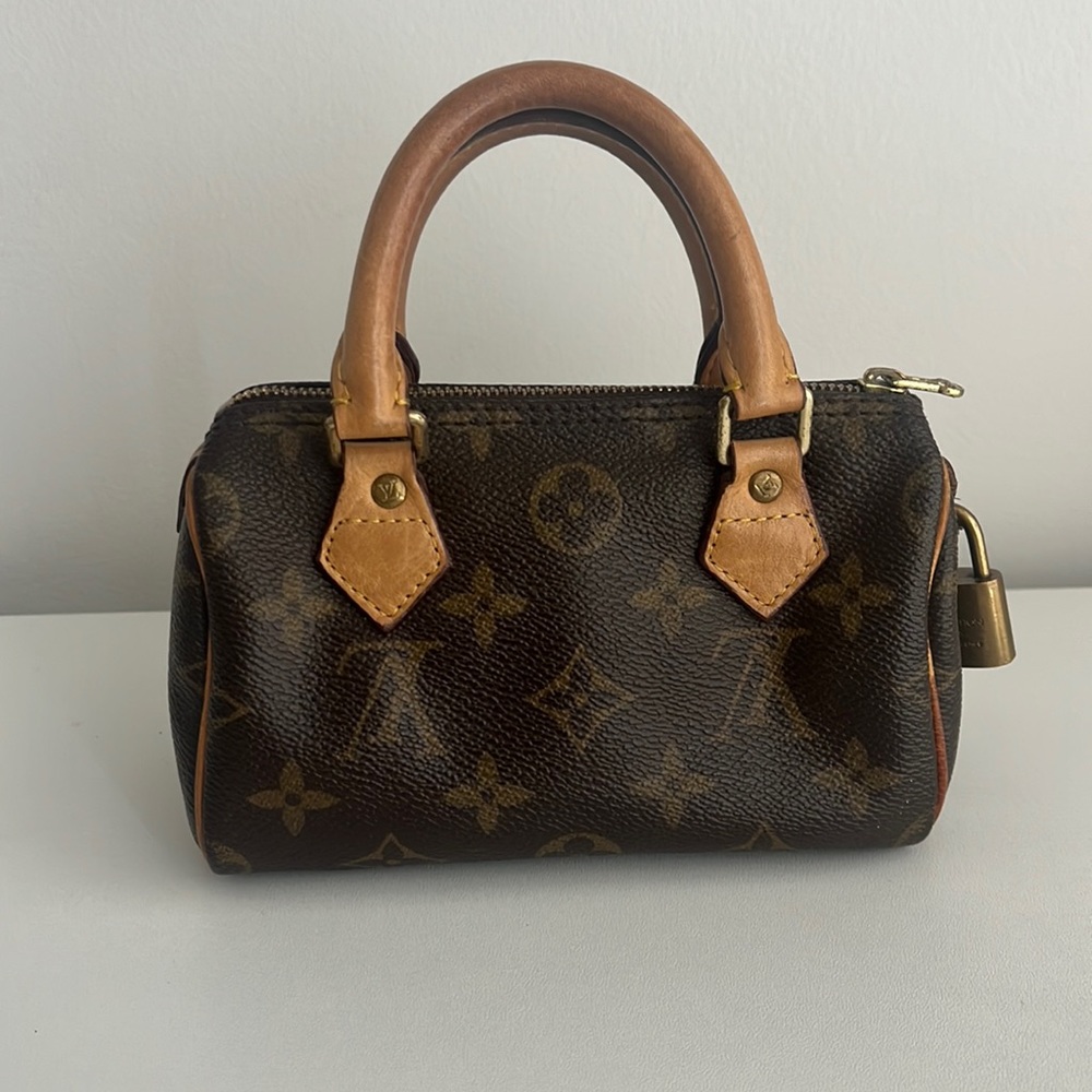 COPY - Louis Vuitton SPEEDY Nano